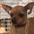 24시실내포장마차 이미지