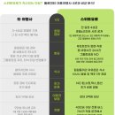 이탈리아 돌로미티 여행 캠핑 알프스 북부 세체다 텐트밖은 유럽