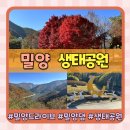 밀양댐생태공원 | 부산근교 가을여행 밀양 드라이브 코스 밀양댐 생태공원, 전망대 추천