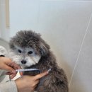 순둥이유치원 이미지