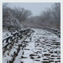 노고단-16 이미지