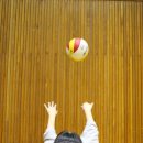 부천한국체대입시 이미지