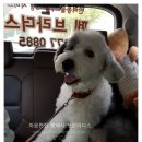 세븐일레븐 거제중곡점 이미지
