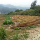 원주토지공인중개사사무소 이미지