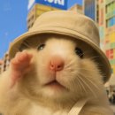 제주영숙 이미지