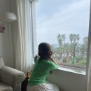 삼일삼오 | 4년이 지나도 예쁜 제주도 신혼여행 숙소, 하도리 3135(삼일삼오)복층 201호 후기