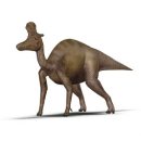 공룡의 종류 이미지