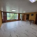 하늘애견 이미지