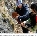 2025년 3월 21일 ~ 23일 동강 할미꽃축제 후기, 인근맛집,추천 숙박,교통정보 ,주차 정보, 교통편...