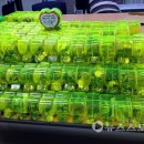 서천사랑 티스토리