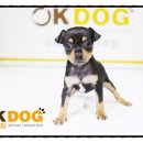 남양별내2 이미지