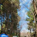 성덕동-8 Daum카페