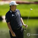 Green Colo 이미지