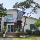 솔막국수 - 춘천시 후석로59번길 16-18 | 솔막국수