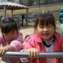 백사체육공원 이미지