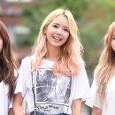 스텔라 이미지