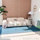 온빛스튜디오