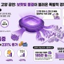 231 세계일보