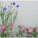 수석행정사사무소 이미지