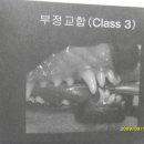 아쿠아동물병원 이미지