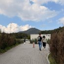 스타인목장 | 가평 아이들과 가볼만한곳 양떼목장