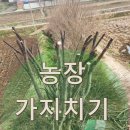 청라농장 | 농장 가지치기 벌목작업