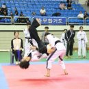 유원관합기도 이미지