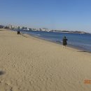 송도해수욕장 이미지