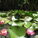 발바닥공원 이미지