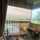 스며들397펜션 | [구례 애견동반 펜션] 스며들397펜션, 고양이와 함께한 특별한 하루 🌿