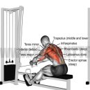 정우헬스 이미지