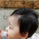 마잇홈
