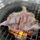 추자도산꼼장어메추리구이