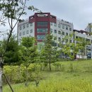 미사치유외과의원 이미지