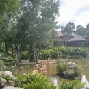 영월 인 더 나이트 | 아이랑 푸꾸옥 빈펄 사파리 기린식당 나이트 사파리 오픈런 꿀팁 후기