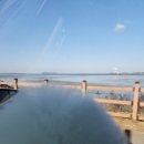 충남 보령 오션뷰 카페 그랑블루 - 실내 애견동반가능