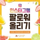 유기농트래픽