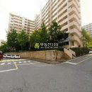 신내로19길 이미지