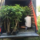 큰나무농장 이미지