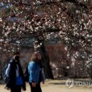 시나브로 이미지