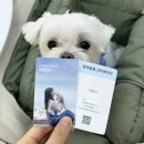 네임펫(Name Pet) | 반려동물 인플루언서 명함제작 필요할까? 업체선택 기준 후기