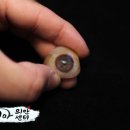 코리아의안센터 이미지