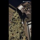 11500-12-29-06 | [서울 강남 가볼만 한 곳,데이트 장소 추천] 빠니드 엠 무니 압구정의 프랑스 감성 카페