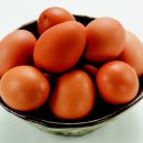 원푸드스토리