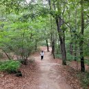 창3 초안산 근린공원(3)