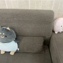 이가편한치과의원 이미지