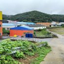 공세 2통 이미지