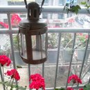 바구니농원 이미지