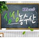 싱싱농수산