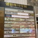 베러모어 | 천안 차암동 브런치카페 더모어더베러 내돈내산 솔직후기